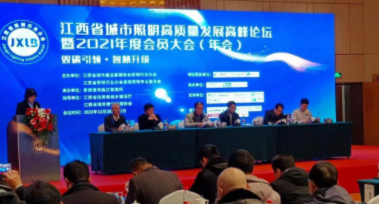 安博体育中国有限公司电保受邀参加江西省城市照明高质量发展高峰论坛