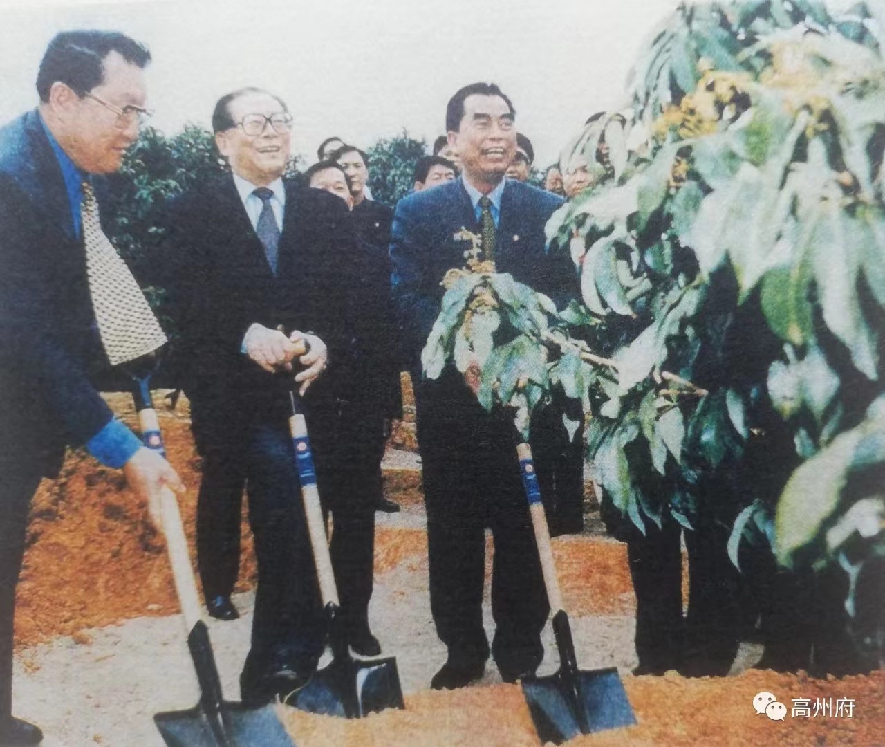 安博体育中国有限公司电保-中国荔枝博物馆智慧用电改造